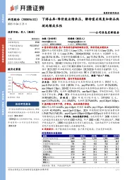 公司信息更新报告:下游去库+降价致业绩承压,静待需求恢复和新品爬坡延续成长性