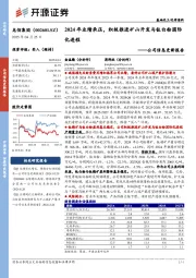 公司信息更新报告:2024年业绩承压,积极推进矿山开发与钛白粉国际化进程