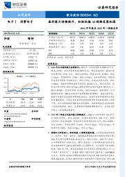 2024年年报及2025年一季报点评:盈利能力持续提升,积极把握AI端侧发展机遇