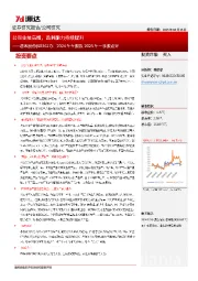2024年年报及2025年一季报点评:公司业绩高增,盈利能力持续提升