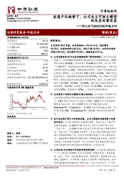 年报点评:在国产化趋势下,公司自主可控大模型的先发优势突显