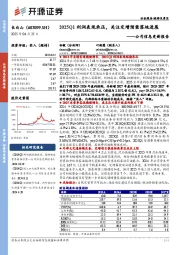 公司信息更新报告：2025Q1利润表现承压，关注定增预案落地进展