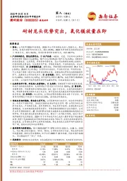 耐材龙头优势突出，氧化镁放量在即