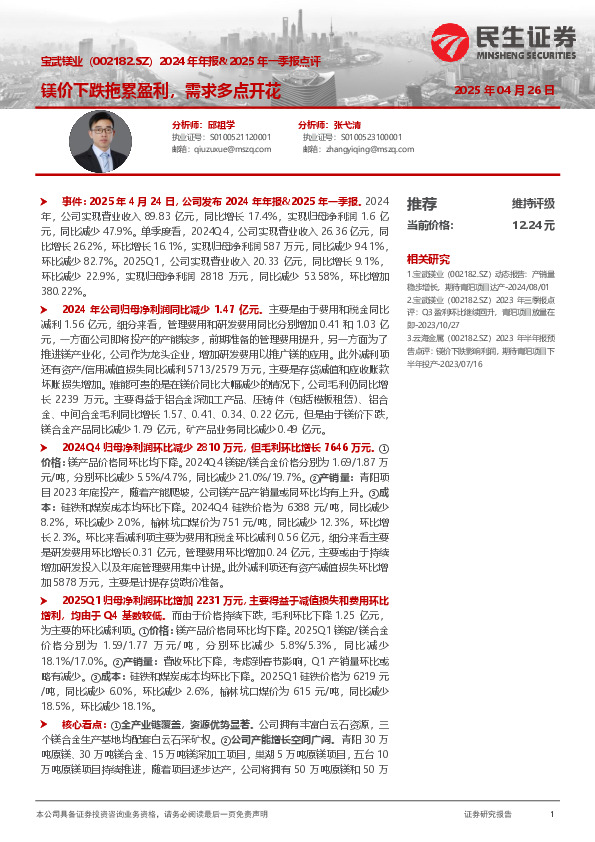 2024年年报&2025年一季报点评：镁价下跌拖累盈利，需求多点开花