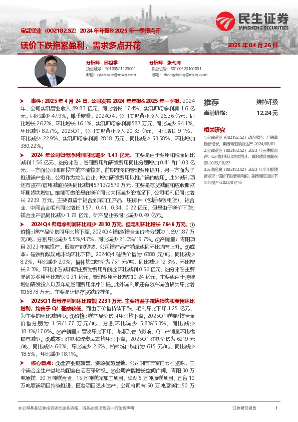 2024年年报&2025年一季报点评：镁价下跌拖累盈利，需求多点开花