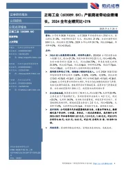 产能爬坡带动业绩增长,2024全年业绩同比+21%