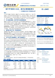 24年度报告点评:海外市场潜力凸显,看好后续稳健增长