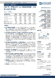 2025年一季报点评:Q1业绩表现亮眼,三电核心技术再突破