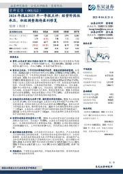 2024年报&2025年一季报点评：经营阶段性承压，积极调整期待盈利修复