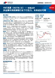 财报点评:多金属布局抵御锂行业下行压力,未来成长可期