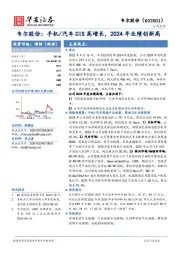 韦尔股份：手机/汽车CIS高增长，2024年业绩创新高