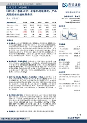2025年一季报点评:全球化持续推进,产品周期波动业绩短期承压