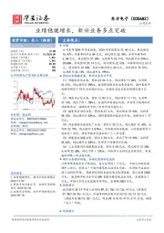 业绩稳健增长,新兴业务多点突破