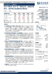 2024年报及2025年一季报点评:短期业绩承压,看好新品放量驱动长期成长