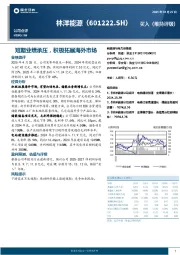 短期业绩承压,积极拓展海外市场