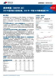 2024年盈利能力延续改善,2025年一季度U8销量增速超30%
