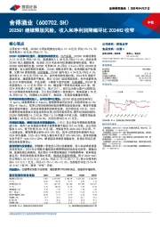 2025Q1继续释放风险，收入和净利润降幅环比2024H2收窄