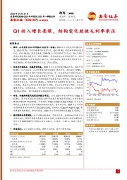 Q1收入增长亮眼,结构变化致使毛利率承压