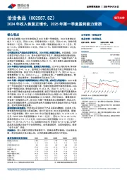 2024年收入恢复正增长,2025年第一季度盈利能力受损