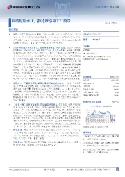 业绩短期承压,静待摩洛哥工厂放量
