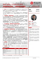 2024年年报及2025年一季报点评:深耕端侧智能化趋势,一季度营收创历史新高