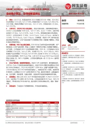 2024年年报及2025年一季报点评：业绩稳步复苏，各领域新品频出