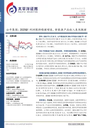 公牛集团:2025Q1利润保持稳健增速,新能源产品收入表现靓丽