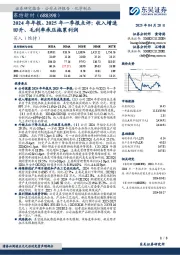 2024年年报、2025年一季报点评:收入增速回升、毛利率承压拖累利润