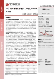 点评报告:25Q1利润维持亮眼增长,上新美白和油皮产品线
