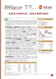 渠道发力持续向好,减值计提影响盈利
