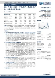 2024年报和2025一季报点评:聚焦自研产品,云数业务有望加速