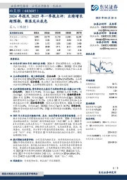 2024年报及2025年一季报点评:业绩增长超预期,彰显龙头底色