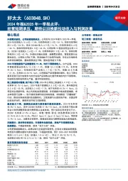 2024年报&2025年一季报点评:经营短期承压,期待以旧换新拉动收入与利润改善