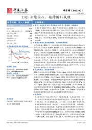 25Q1业绩承压，期待国补成效