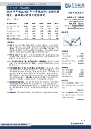 2024年年报&2025年一季报点评:业绩大幅增长,高端新材料项目有序推进