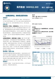 业绩短期承压,期待渠道变革成效