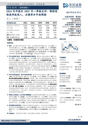 2024年年报及2025年一季报点评:维持高强度研发投入,业绩符合市场预期