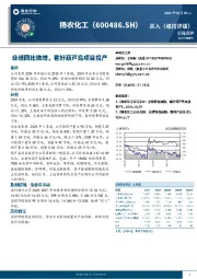 业绩同比微增,看好葫芦岛项目投产