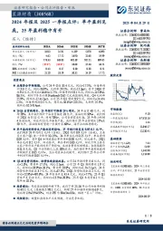 2024年报及2025一季报点评:单平盈利见底,25年盈利稳中有升