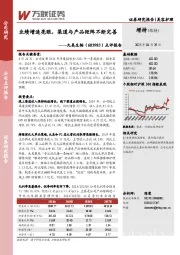 点评报告:业绩增速亮眼,渠道与产品矩阵不断完善