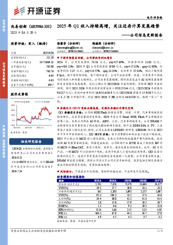 公司信息更新报告：2025年Q1收入持续高增，关注近存计算发展趋势