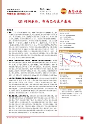 Q1利润承压,布局巴西生产基地