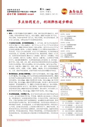 2024年报及2025一季报点评:多点协同发力,利润弹性逐步释放