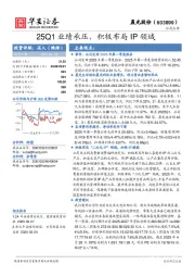 25Q1业绩承压，积极布局IP领域