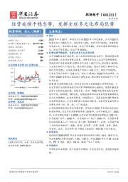经营延续平稳态势，发挥全球多元化布局优势