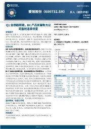 Q1业绩超预期，BC产品有望助力公司盈利逐季修复