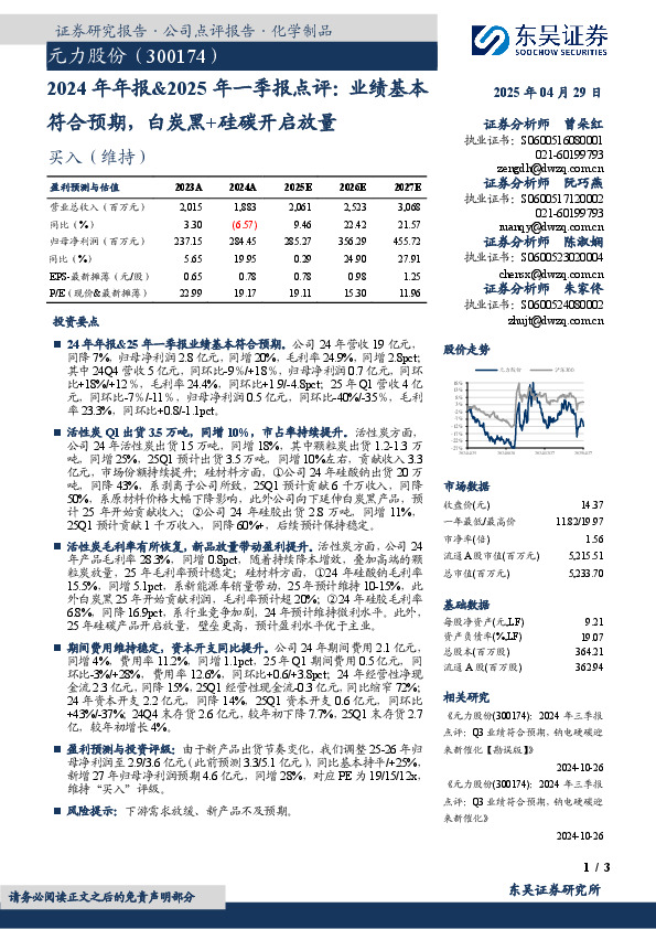 2024年年报&2025年一季报点评：业绩基本符合预期，白炭黑+硅碳开启放量