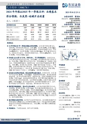 2024年年报&2025年一季报点评:业绩基本符合预期,白炭黑+硅碳开启放量