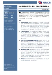 25Q1利润实现同比增长，海外产量贡献增加
