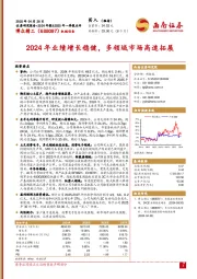 2024年业绩增长稳健，多领域市场高速拓展